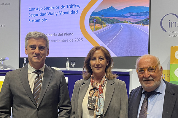 CNAE reclama agilizar la incorporación de examinadores y garantizar el funcionamiento de los centros desplazados