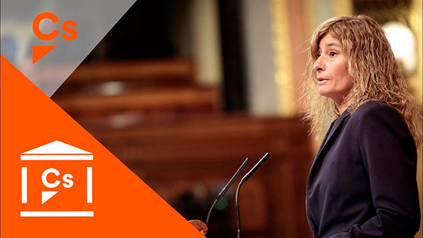 El Congreso insta al Gobierno a que conceda una línea especial de créditos y avales al sector